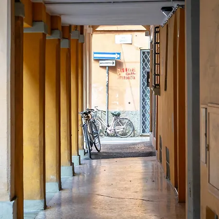 Angeli 10 Bologna